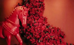 国语自产拍在线视视频